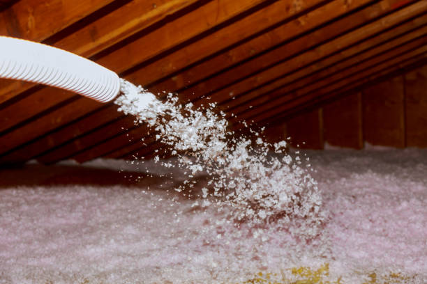 Best Cellulose Insulation in Los Luceros, NM