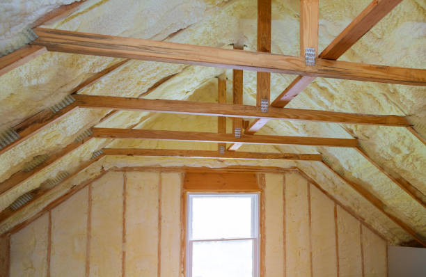 Best Specialized Insulation Services in Los Luceros, NM