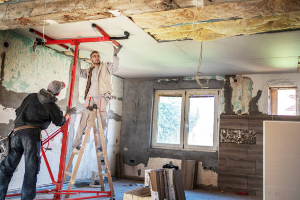 Best Insulation Maintenance and Repair in Los Luceros, NM