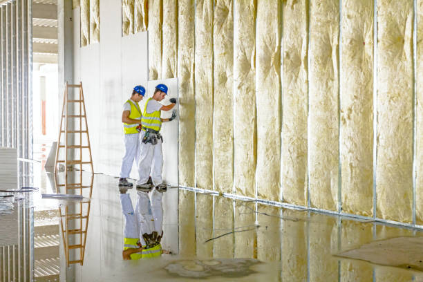 Best Spray Foam Insulation in Los Luceros, NM